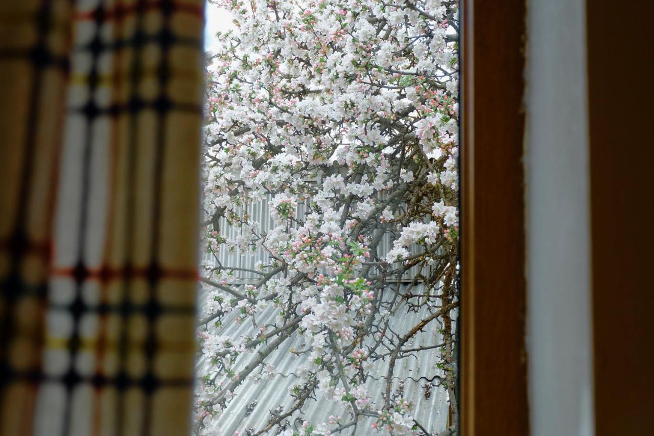 Dil Hill By Sam Bed & Breakfast Dilijan Exterior photo