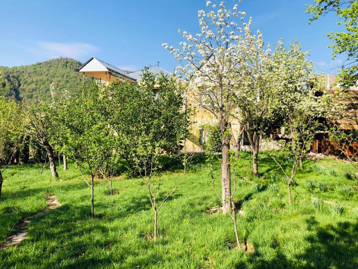Dil Hill By Sam Bed & Breakfast Dilijan Exterior photo